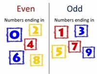 Odd and Even Numbers - Year 3 - Quizizz