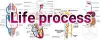 processos endotérmicos e exotérmicos - Série 10 - Questionário