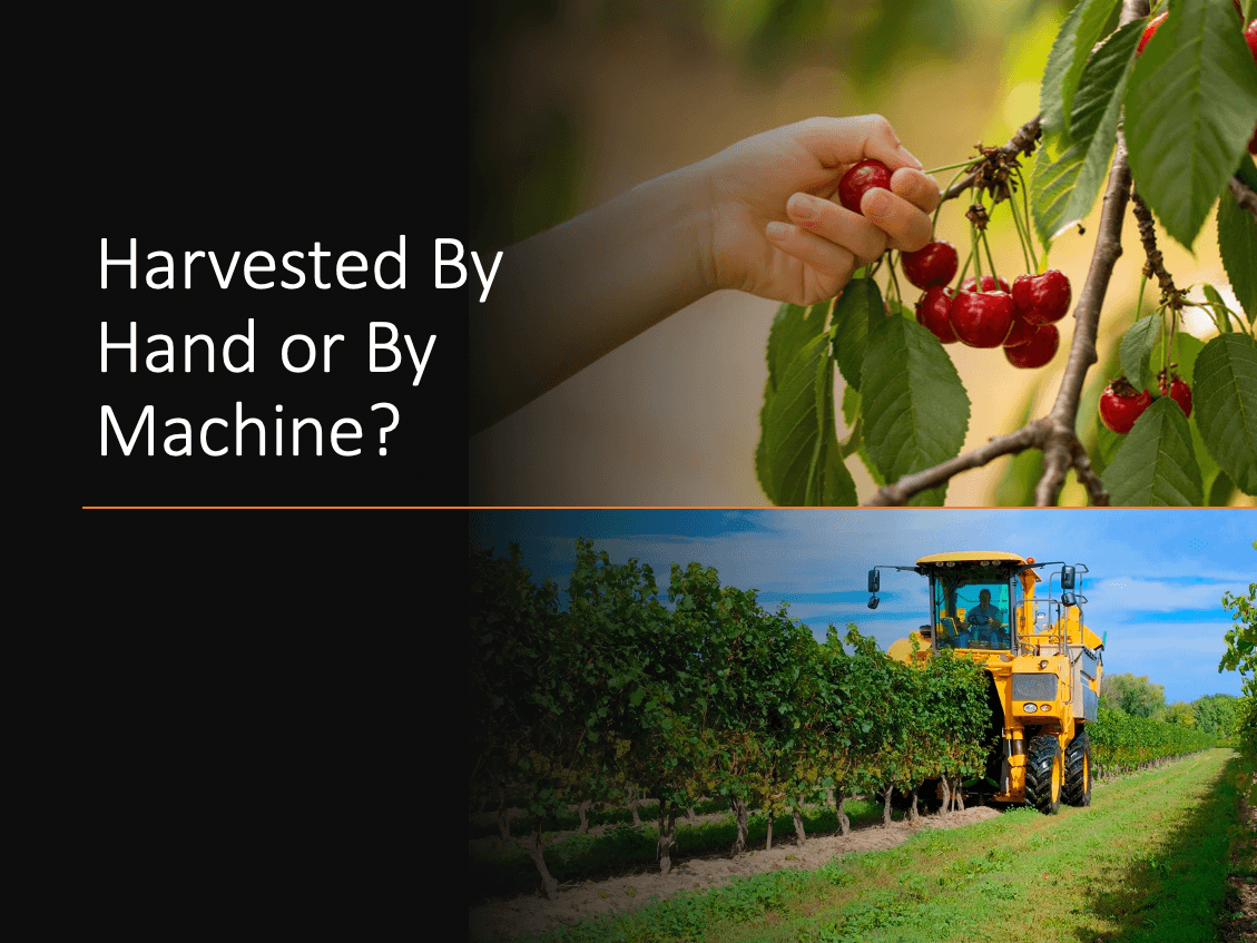 Harvested by Hand or Machine?