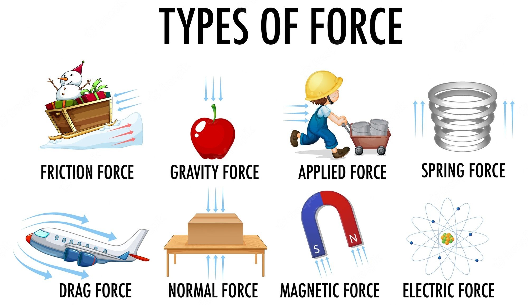 Forces and Interactions - Year 1 - Quizizz