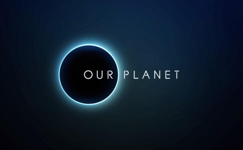 our-planet-one-planet-questions-166-plays-quizizz