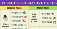 Apostrophes in Plural Possessive Nouns - Class 5 - Quizizz