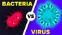 Bacteria & Viruses