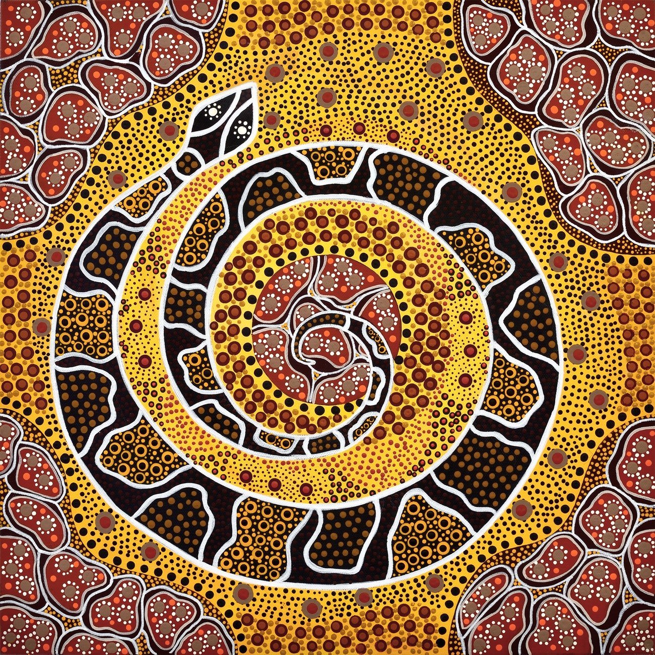 Aboriginal Art Visual Arts Quiz Quizizz