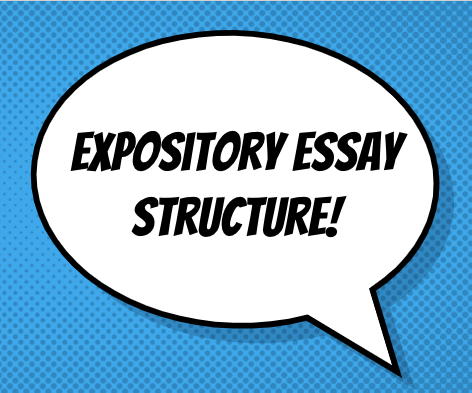 expository essay quizizz