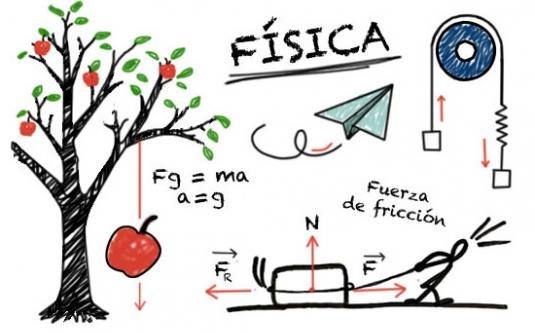 vetores Flashcards - Questionário