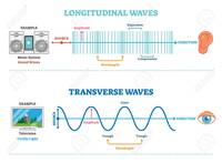 electromagnetic waves and interference - Class 6 - Quizizz