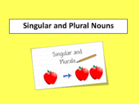 Singular Nouns Flashcards - Quizizz