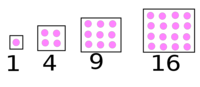 Squares - Class 8 - Quizizz