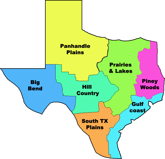 Unit 1 Natural Texas and its People | Quizizz