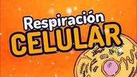 respiración celular - Grado 4 - Quizizz