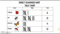 Tally Charts - Class 2 - Quizizz