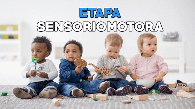 Etapa sensoriomotora | Other - Quizizz