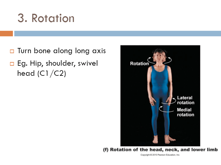 Joints and Articulations | Science - Quizizz