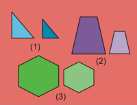 segitiga kongruen sss sas dan asa - Kelas 7 - Kuis