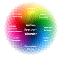 Autism Flashcards - Quizizz