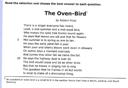 the oven bird summary