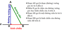 Chiến lược chính tả - Lớp 7 - Quizizz