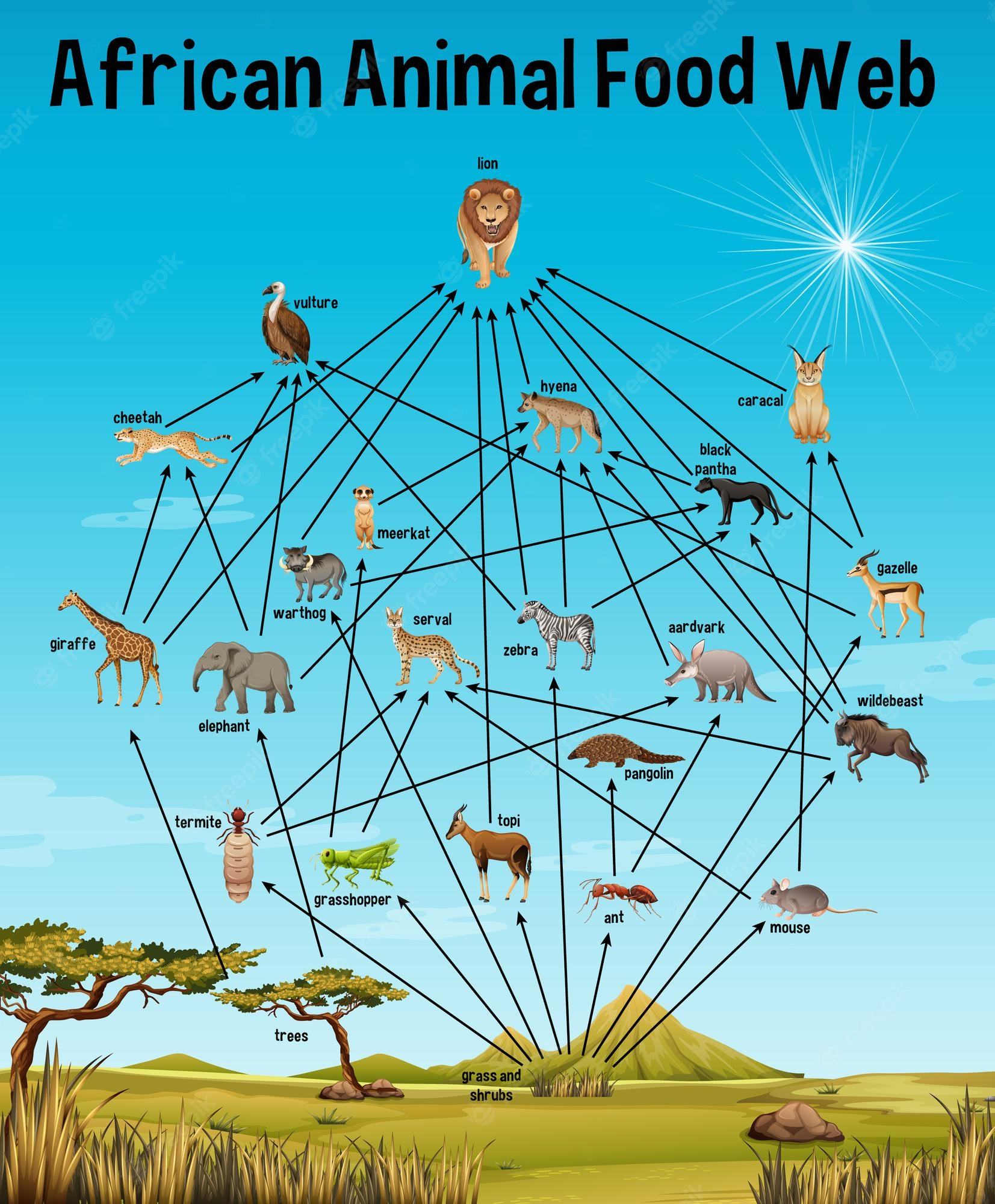 Ecology Test 1 Review Questions & Answers For Quizzes And Tests - Quizizz