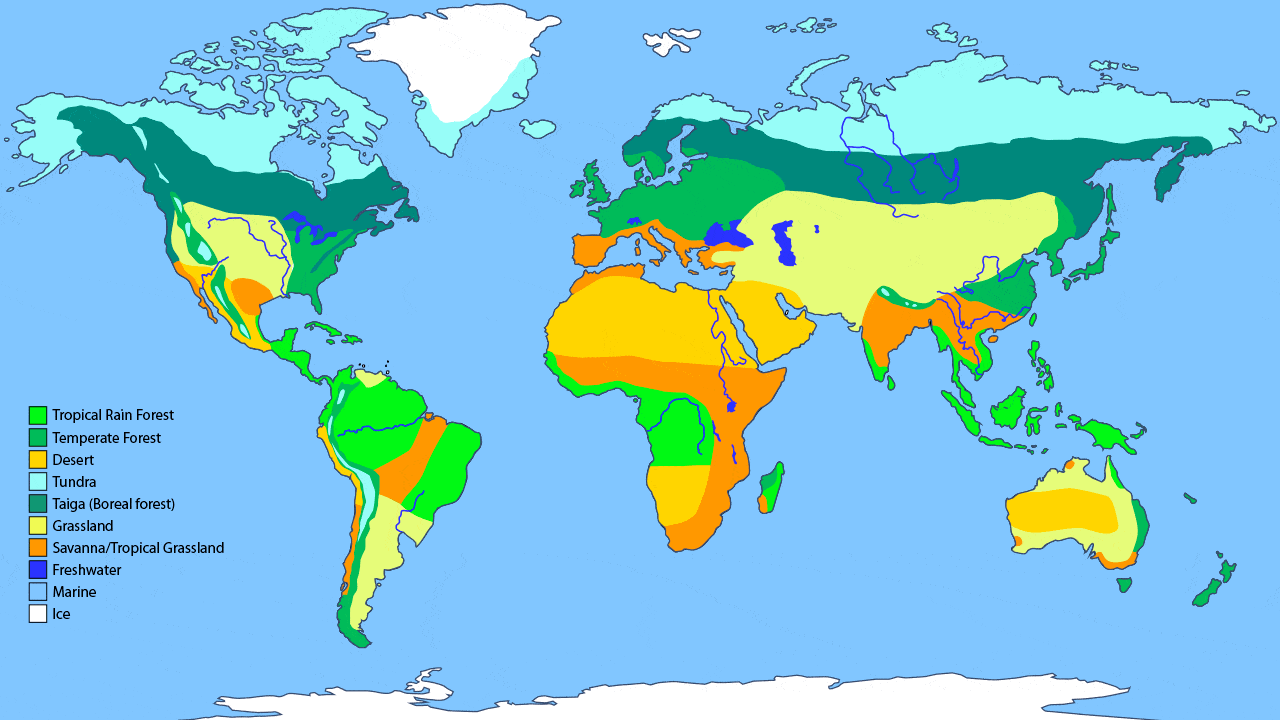 Terrestrial Biomes Test Other Quiz Quizizz