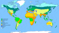 TERRESTRIAL BIOMES Test Other Quiz Quizizz