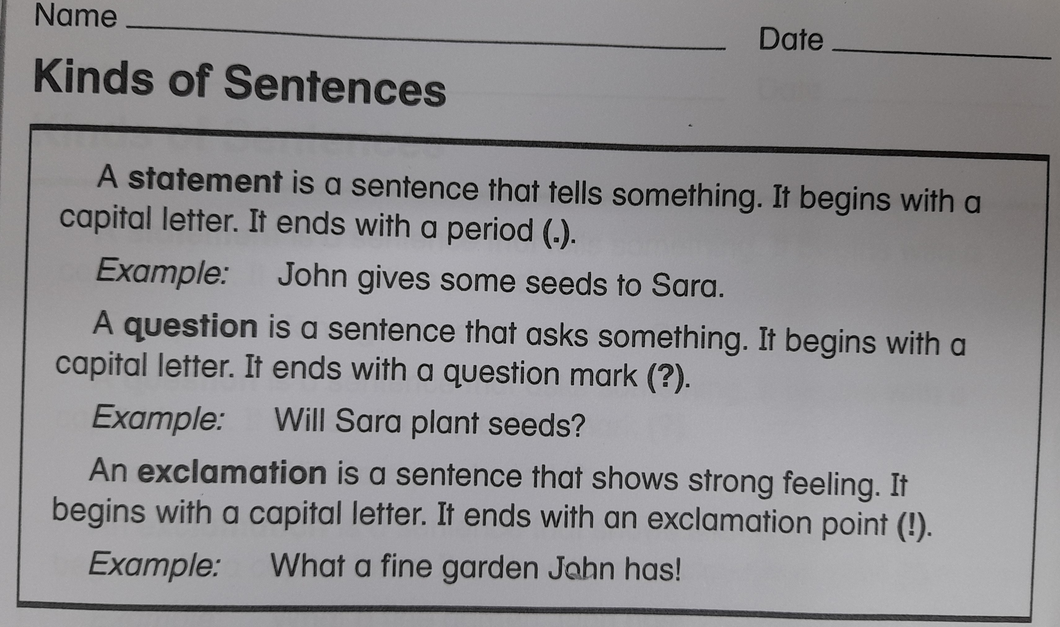 Four Types Of Sentences Quizizz