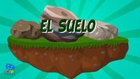 Plantas, animales y la tierra. - Grado 10 - Quizizz