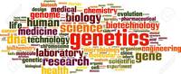 genetics vocabulary genotype and phenotype - Year 8 - Quizizz
