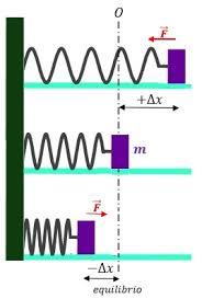 movimiento armónico simple - Grado 12 - Quizizz