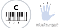 Guitar Chord - Grade 9 - Quizizz