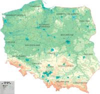 Rozkładające się kształty Fiszki - Quizizz