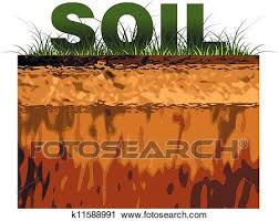 soils - Class 8 - Quizizz