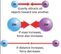 newtons law of gravitation - Class 8 - Quizizz