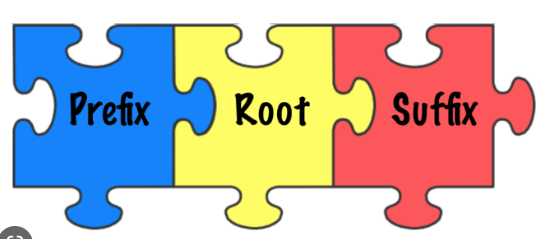 Determining Meaning Using Roots, Prefixes, and Suffixes - Class 10 - Quizizz