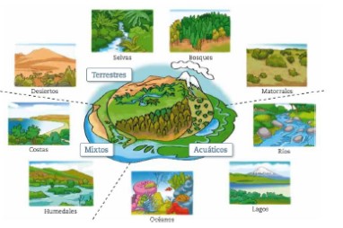 Tipos de Ecosistemas | Science - Quizizz