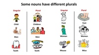 Irregular Plural Forms Flashcards - Quizizz