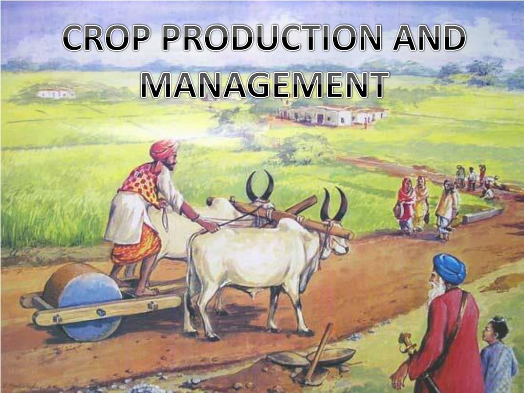 CROP PRODUCTION AND MANAGEMENT
