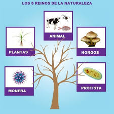 Reinos de la naturaleza