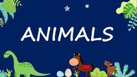 Animals - Class 2 - Quizizz