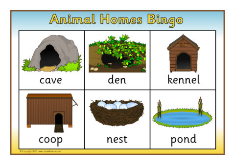 Y2 Animal Homes | Vocabulary Quiz - Quizizz