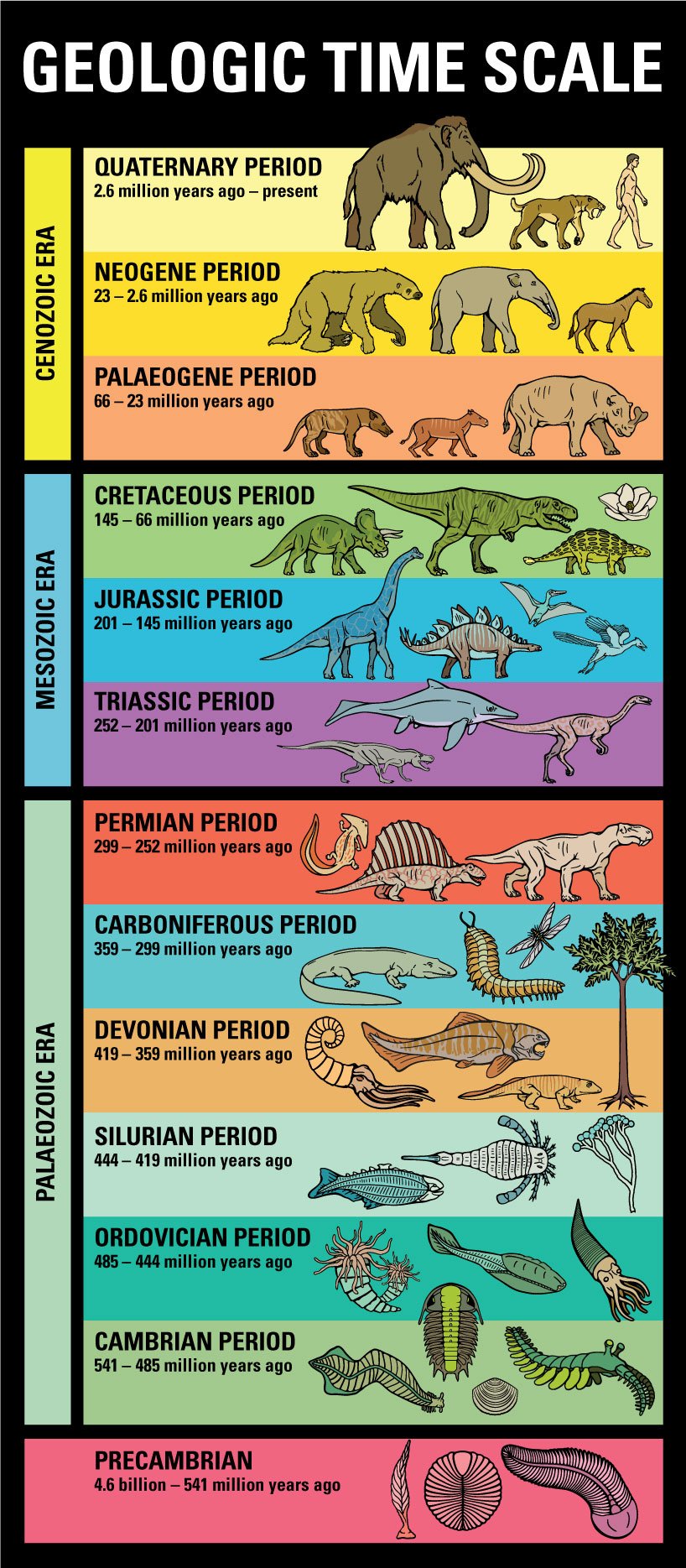 Geologic Time Scale 197 Plays Quizizz