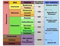 history of life on earth - Class 6 - Quizizz