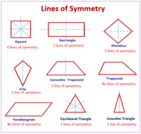 Symmetry - Class 4 - Quizizz