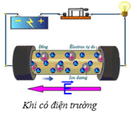 cường điệu - Lớp 7 - Quizizz