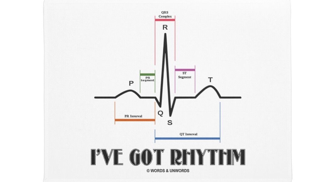 EKG | 230 memainkan | Quizizz