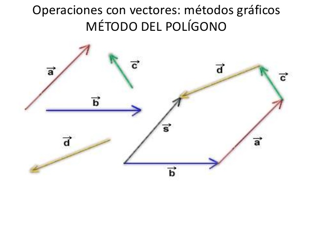 vectores - Grado 7 - Quizizz