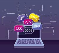 Codificación - Grado 11 - Quizizz