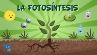 fotosintesis - Kelas 9 - Kuis