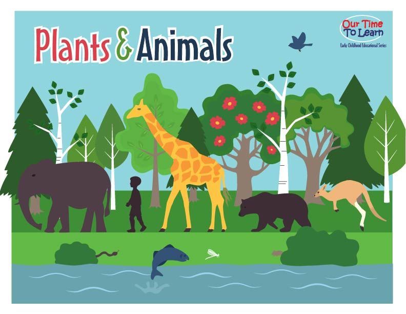 plants-and-animals-quizizz