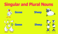 Singular Nouns Flashcards - Quizizz